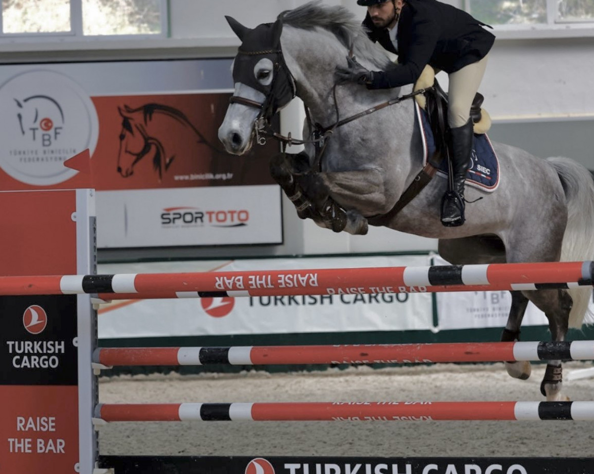 Springpferd Siec Caruso (Westfale, 2015, von Cornet Obolensky)