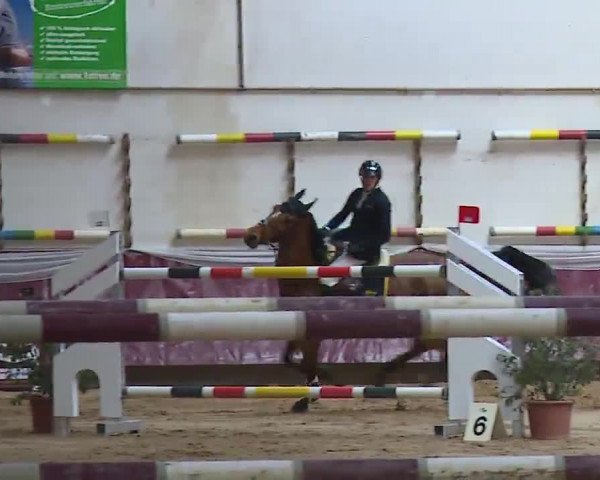 Reitturnier Eicherloh RH Laurent/Obb. 2023