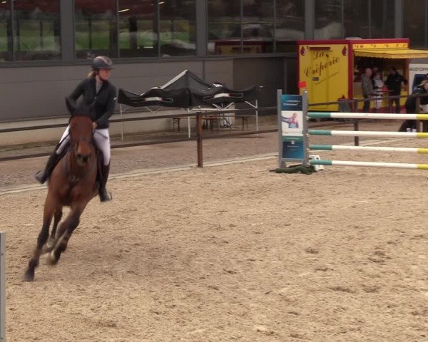Reitturnier Zwickau 2023