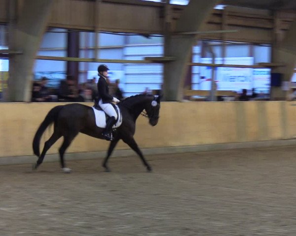 Reitturnier Sörup 2021