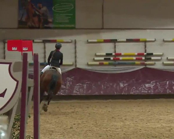 Reitturnier Eicherloh RH Laurent/Obb. 2023