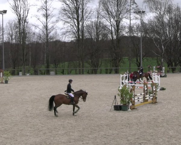 Reitturnier Erkrath 2023