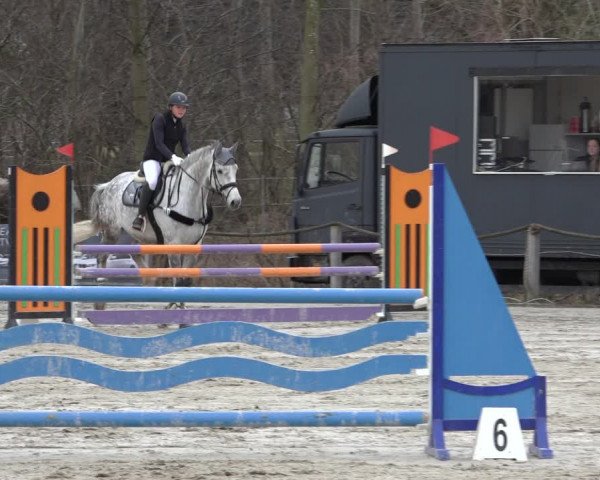 Reitturnier Handorf 2023