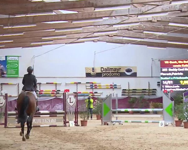 Reitturnier Eicherloh RH Laurent/Obb. 2023