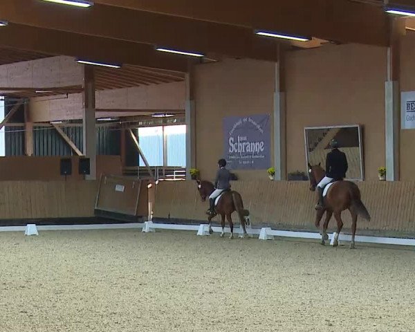 Reitturnier Grafenrheinfeld/Ufr. 2021