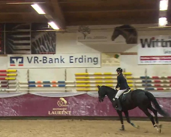 Reitturnier Eicherloh RH Laurent/Obb. 2023