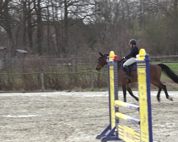 Reitturnier Handorf 2023