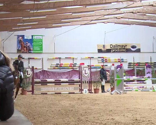 Reitturnier Eicherloh RH Laurent/Obb. 2023
