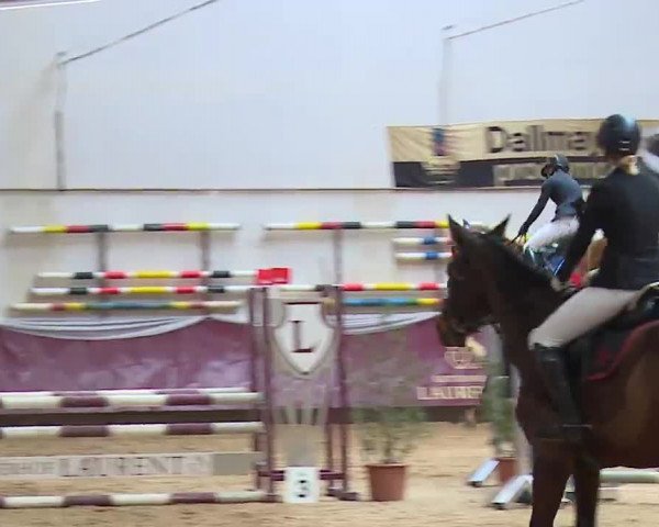 Reitturnier Eicherloh RH Laurent/Obb. 2023