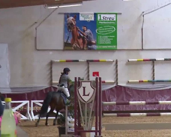 Reitturnier Eicherloh RH Laurent/Obb. 2023