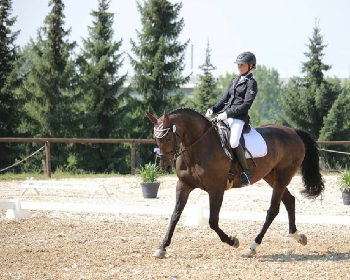 broodmare Farina 921 (Westphalian, 2003, from Florestan I)