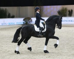 dressage horse Wirdmer Fan'e Boppelannen (Friese, 2007, from Beart 411)