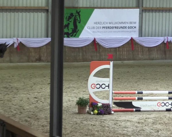 Reitturnier Goch 2023