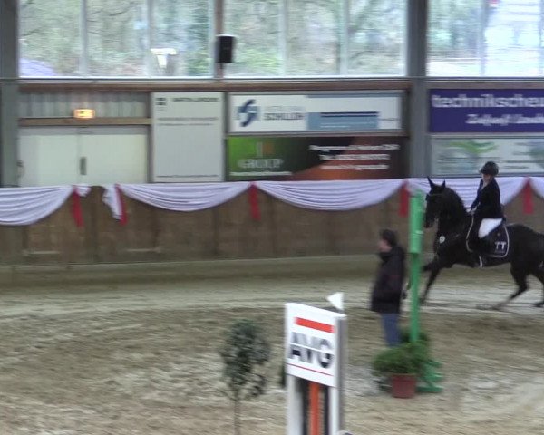 Reitturnier Goch 2023