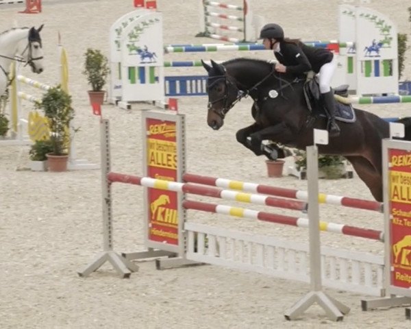 jumper Celesta B (German Sport Horse, 2016, from Cellestial)