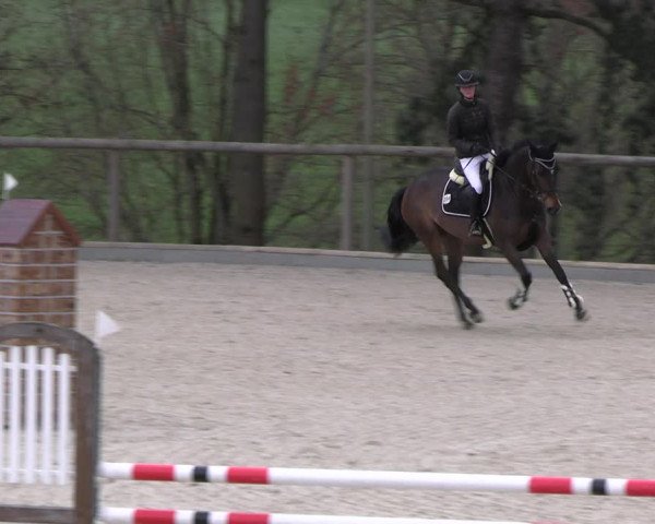 Reitturnier Erkrath 2023