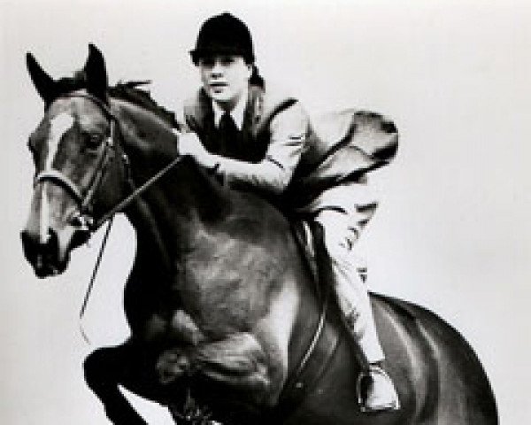 Pferd Tramella (British Riding Pony, 1946, von Tramail xx)