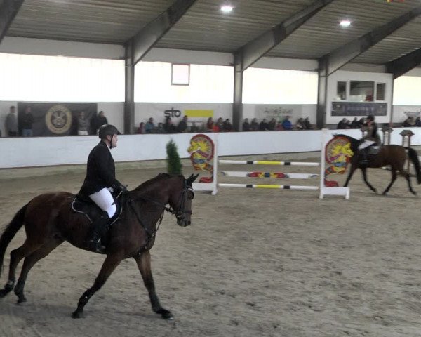 Reitturnier Karlsfeld/Obb. 2021