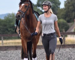 dressage horse Enakin S (Westphalian, 2015, from Escolar)