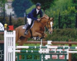 jumper Green Shine (Italian Warmblood, 2004, from Burggraaf)