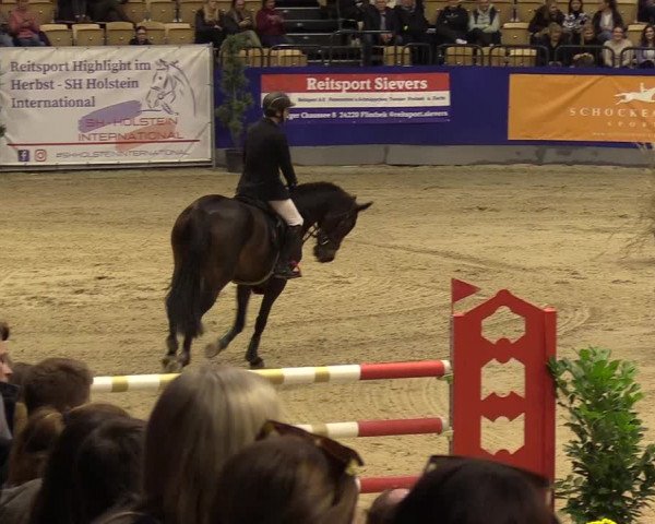 FEI Reitturnier Neumünster (GER) 2021