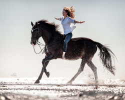 dressage horse Lac Noir (Hanoverian, 2001, from Rotspon)