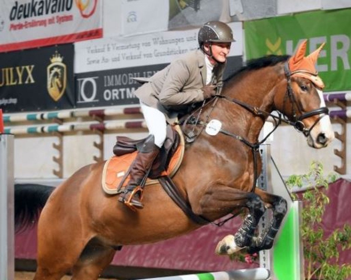 jumper Ice - T WT (Zangersheide riding horse, 2018, from Ideal de La Loge)