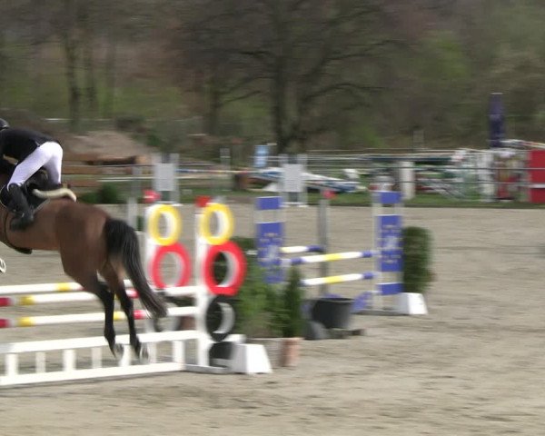 Reitturnier Langenfeld - Gut Langfort 2023