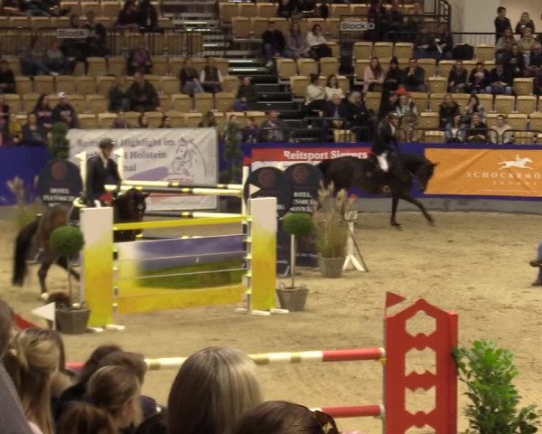 FEI Reitturnier Neumünster (GER) 2021