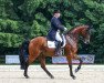 dressage horse Almelo (Westphalian, 2004, from Arpeggio)