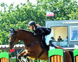 jumper Cali 7 (Oldenburg show jumper, 2016, from Cellestial)