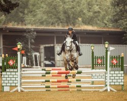 jumper Aron 334 (Lithuanians Warmblood, 2016, from Bas)