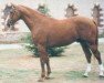 stallion Val de Saone II (Selle Français, 1987, from Origant)