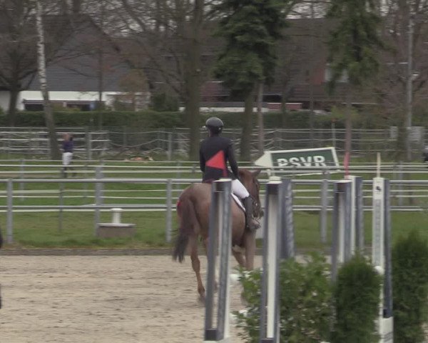 Reitturnier Langenfeld - Gut Langfort 2023