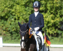 dressage horse Navarone van de Beekerheide (Nederlands Rijpaarden en Pony, 2008, from Neptune van de Beekerheide)