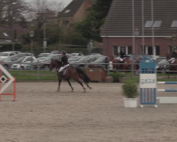 Reitturnier Langenfeld - Gut Langfort 2023