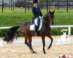 dressage horse Soulina (Bayer, 2009, from Quaterback)