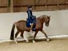 dressage horse FSD Baileys (German Riding Pony, 2006, from FS Don't Worry)