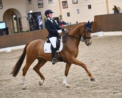 dressage horse Bonheur B (Rhinelander, 2015, from Callaho's Benicio)