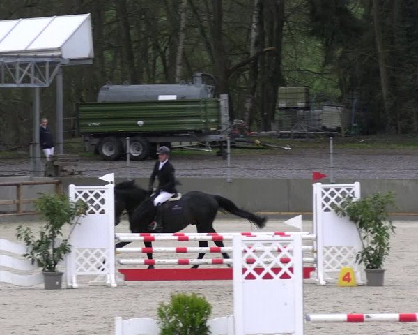 Reitturnier Balve-Wocklum 2023