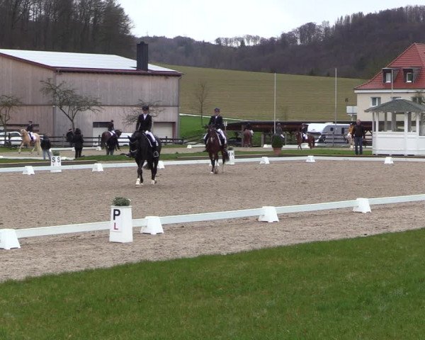 Reitturnier Balve-Wocklum 2023