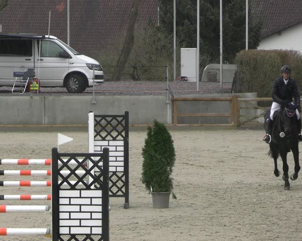 Reitturnier Balve-Wocklum 2023