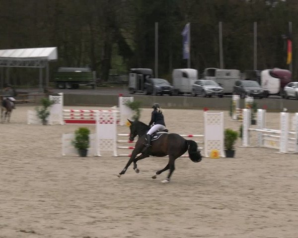 Reitturnier Balve-Wocklum 2023