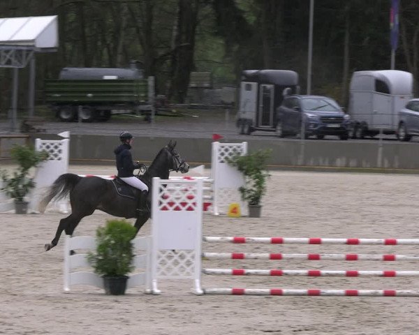 Reitturnier Balve-Wocklum 2023
