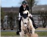 jumper Tuba des Vallons (Connemara Pony, 2007, from Fricotin)