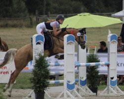 jumper Schierensees Sweet Surprise (German Riding Pony, 2015, from FS Mr. Right)