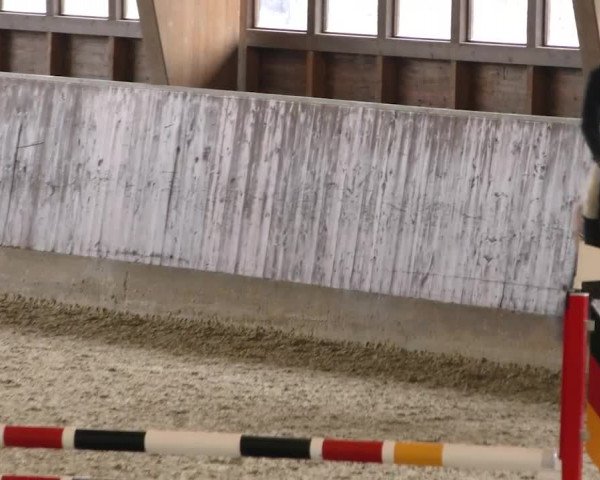 Reitturnier Päse 2023