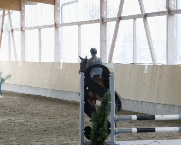 Reitturnier Worms-Pfeddersheim / Reitsportanlage Wittemer 2023
