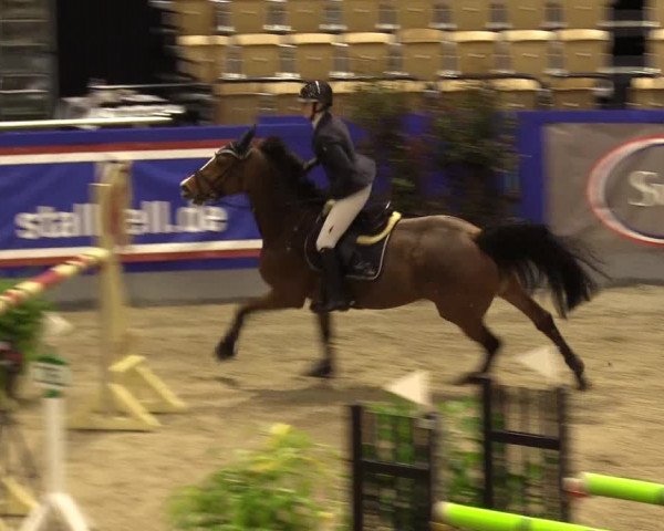 FEI Reitturnier Neumünster (GER) 2021