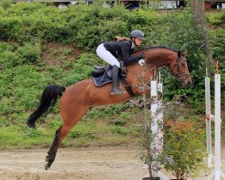 jumper Boundless Bliss (Holsteiner, 2016, from Balous Bellini)